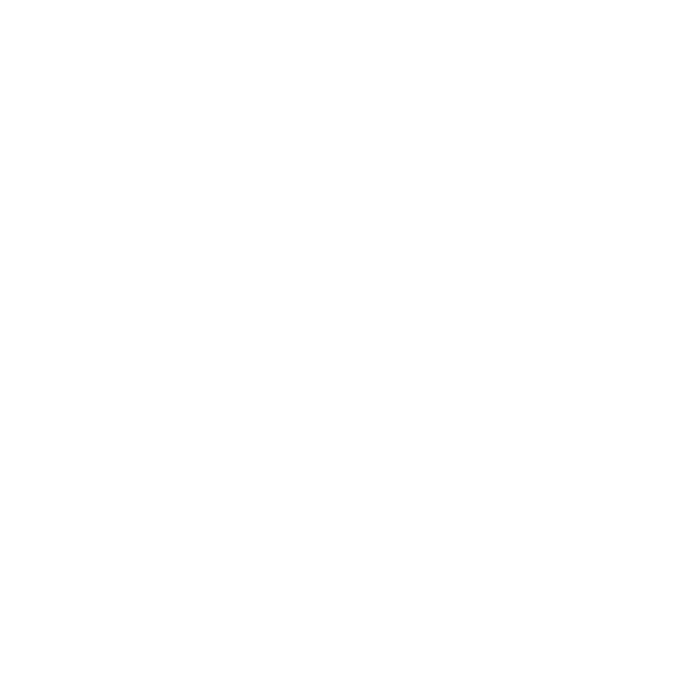 Mizuno